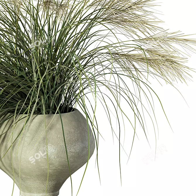 Nature's Harmony Grass Pampas Ensemble 3D model image 3