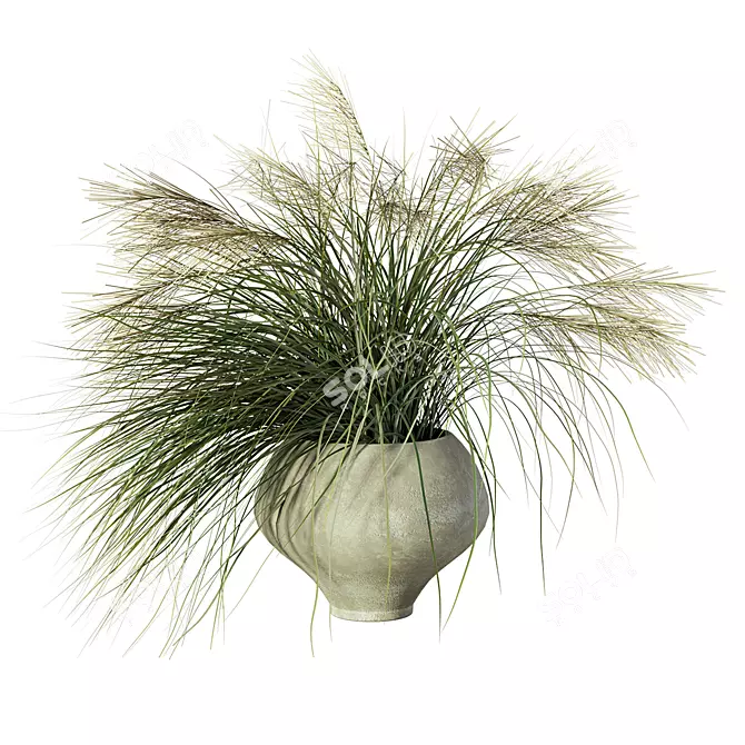 Nature's Harmony Grass Pampas Ensemble 3D model image 5