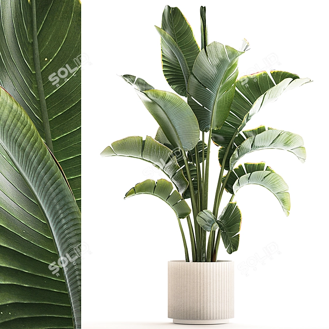 Tropical Foliage Set with Modern Vase 3D model image 1