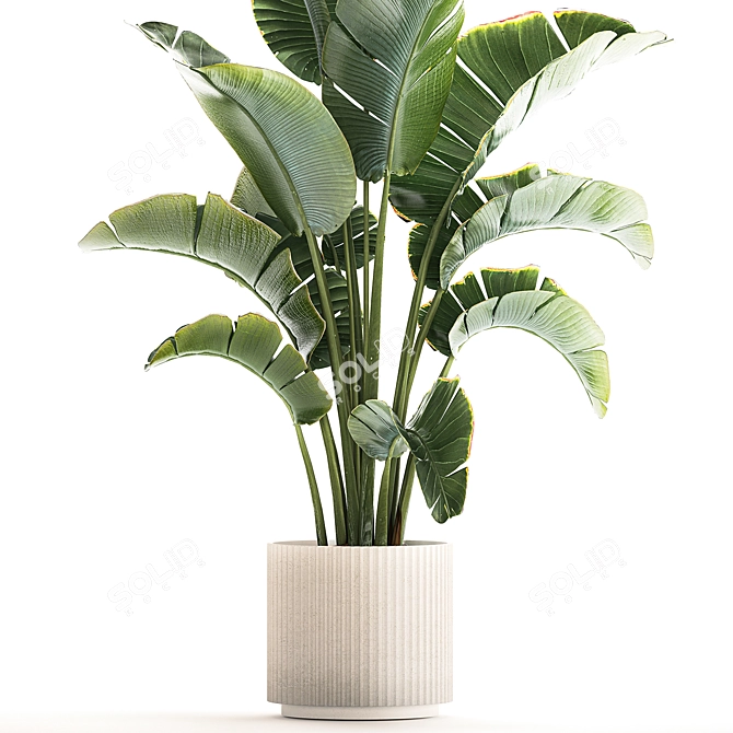 Tropical Foliage Set with Modern Vase 3D model image 2