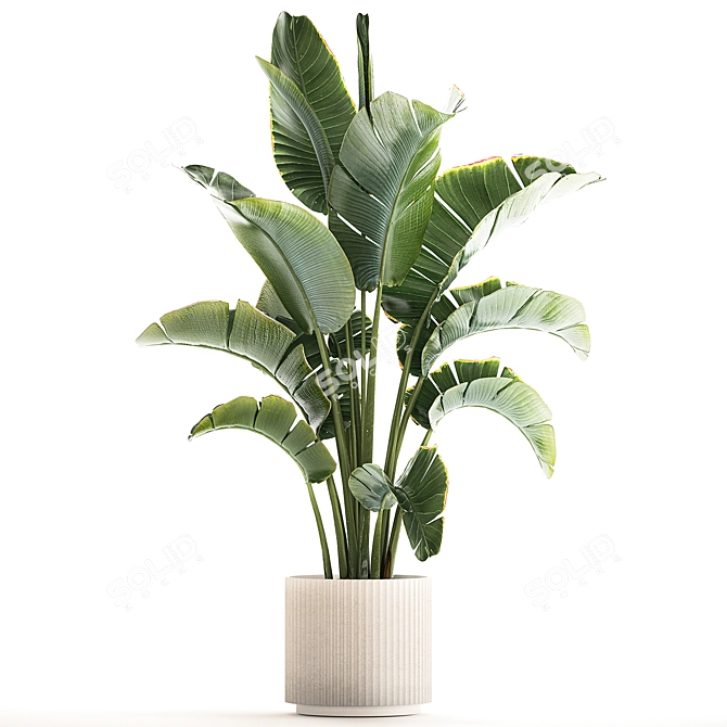 Tropical Foliage Set with Modern Vase 3D model image 4