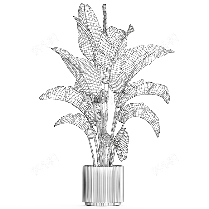 Tropical Foliage Set with Modern Vase 3D model image 6