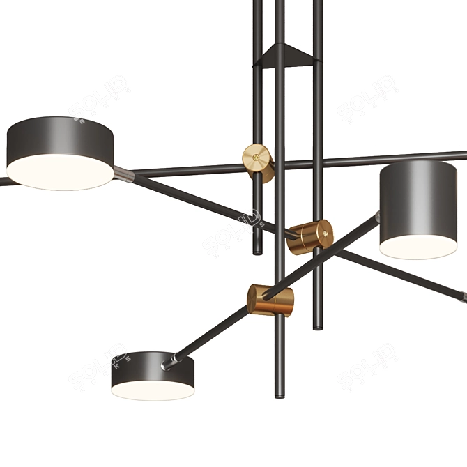 Modern Ceiling Light Fixture, Black 3D model image 4