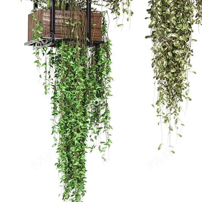 Metal Box Hanging Plants Set 3D model image 3