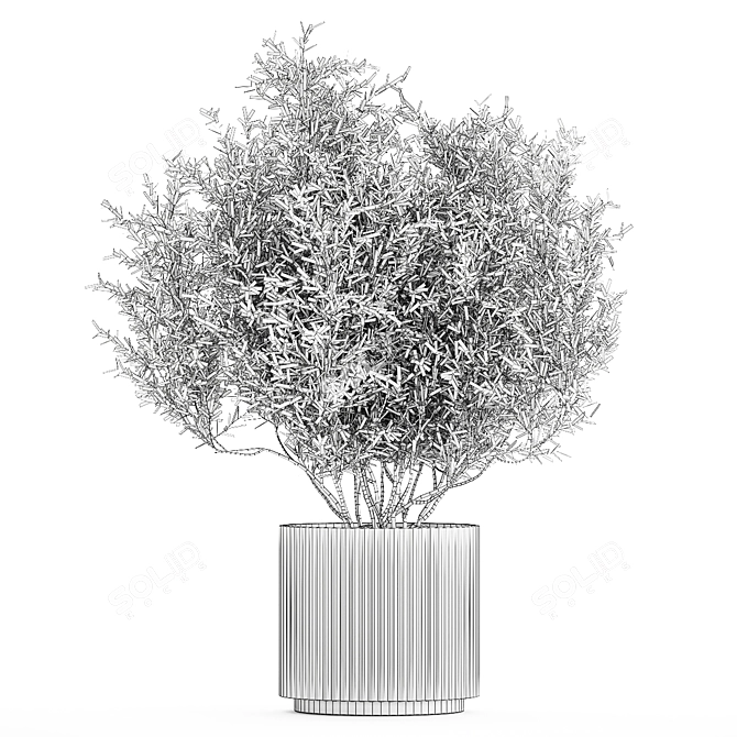 Modern Silver Olive Tree Décor 3D model image 6