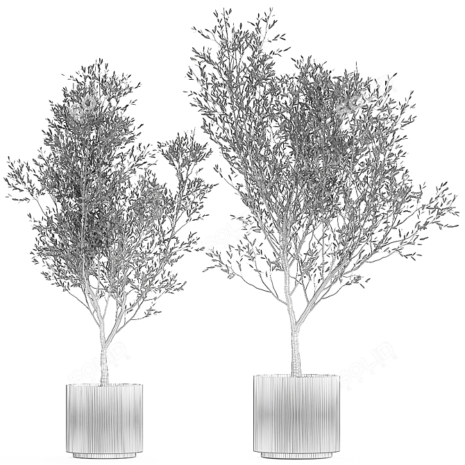 Modern White Pot Collection: Decorative Olive Trees 3D model image 6