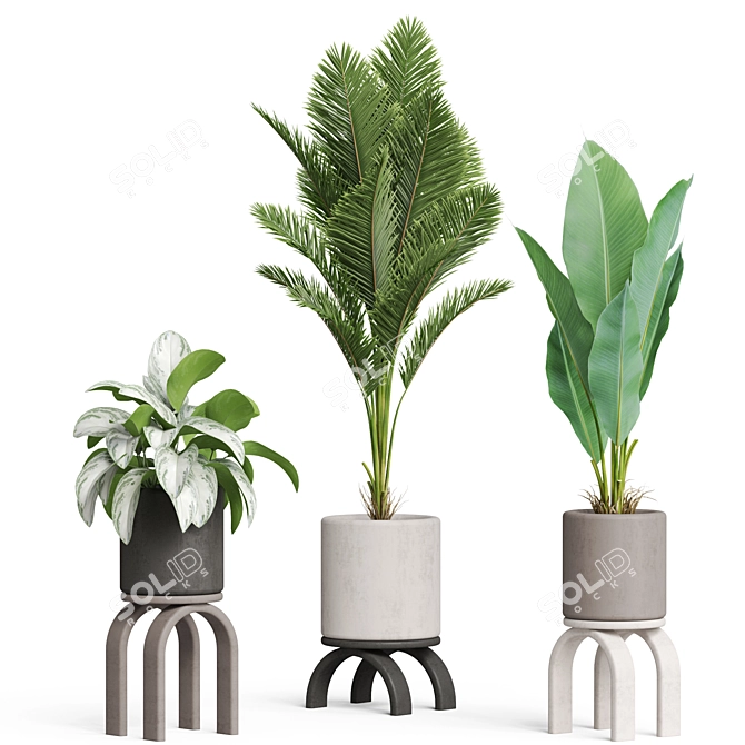 Botanical Beauties: 700990 Polygons 3D model image 2