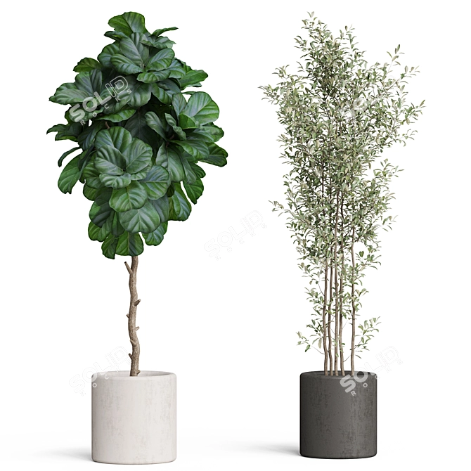 Botanical Beauties: 700990 Polygons 3D model image 3