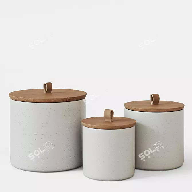 Elegant Pacifica Stoneware Canister 3D model image 2