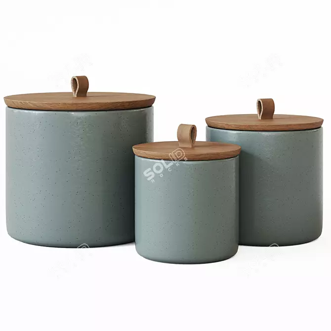 Elegant Pacifica Stoneware Canister 3D model image 5