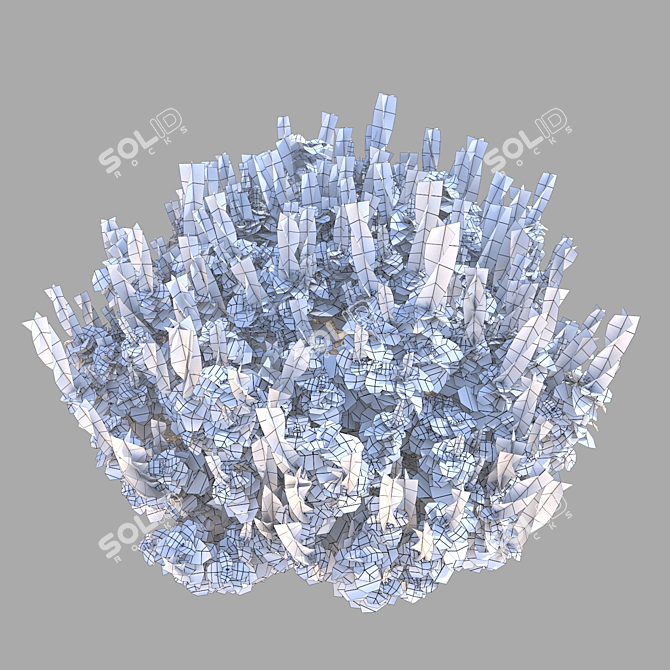 Realistic Plectranthus 3D Model 3D model image 6