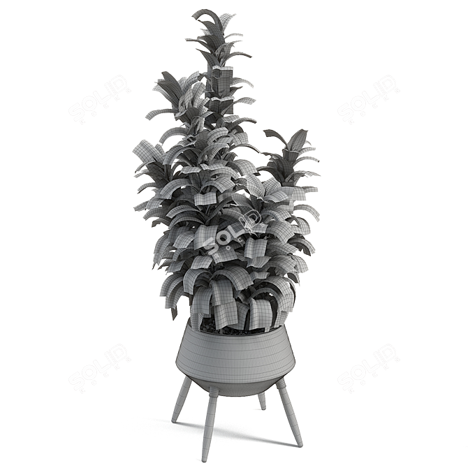 Rubber Tree: Natural Beauty Décor 3D model image 2