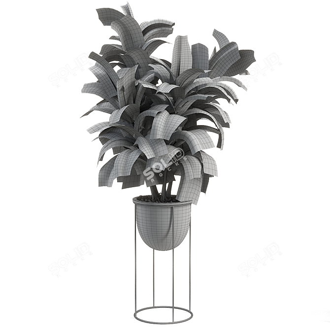 Title: Lush Rubber Tree Plant 3D model image 2