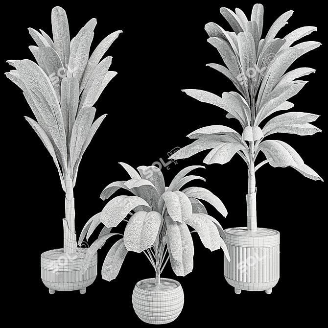 3D Indoor Banana Plant Model 3D model image 7