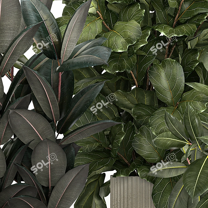 Tropical Plant Collection in Concrete Pots 3D model image 6