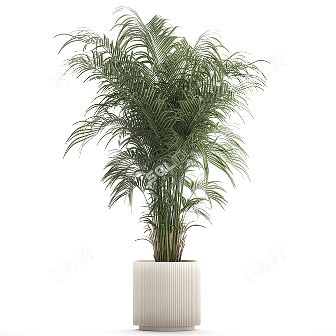 Modern Exotic Palm Plant Décor 3D model image 1