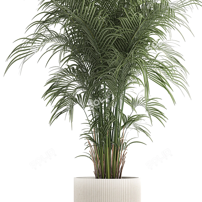 Modern Exotic Palm Plant Décor 3D model image 2