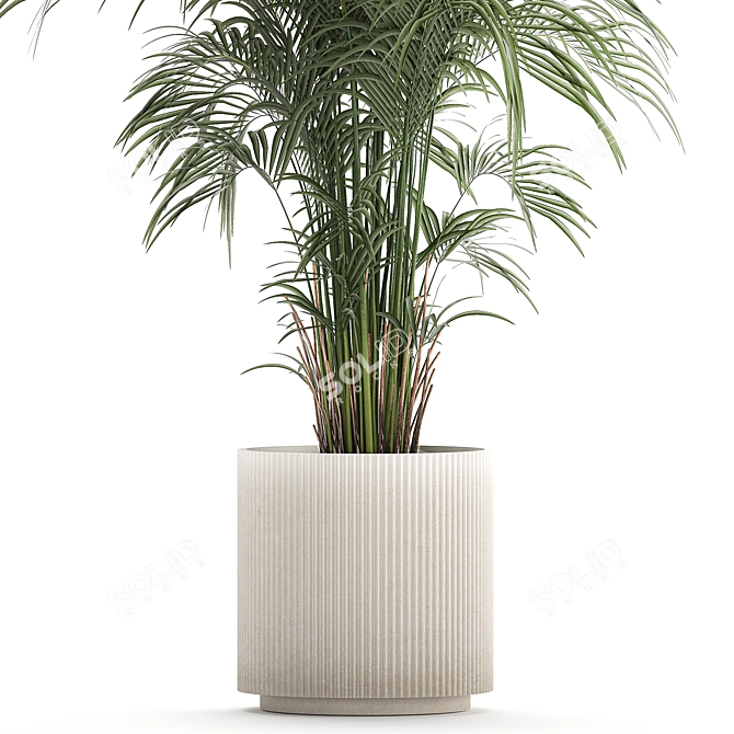 Modern Exotic Palm Plant Décor 3D model image 3