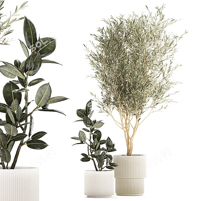 Modern Concrete Plant Collection: Olive and Ficus 3D model image 1