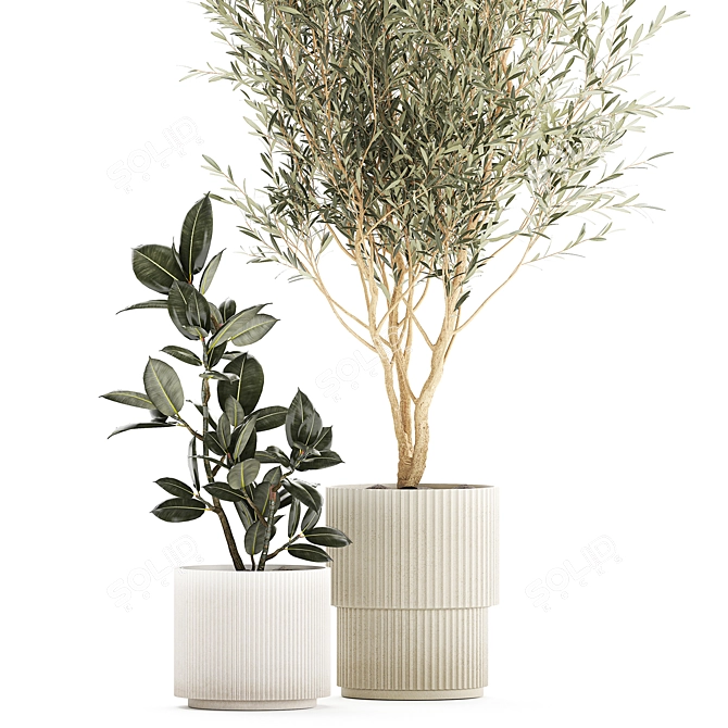 Modern Concrete Plant Collection: Olive and Ficus 3D model image 2