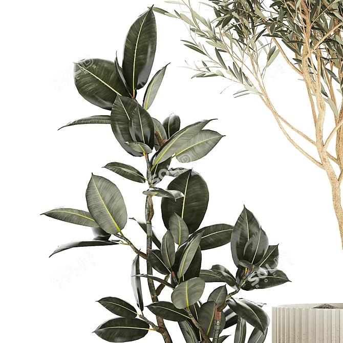 Modern Concrete Plant Collection: Olive and Ficus 3D model image 3