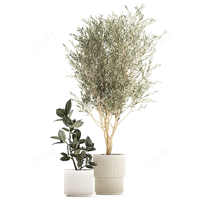 Modern Concrete Plant Collection: Olive and Ficus 3D model image 5