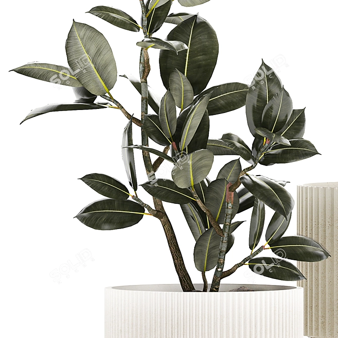 Modern Concrete Plant Collection: Olive and Ficus 3D model image 6