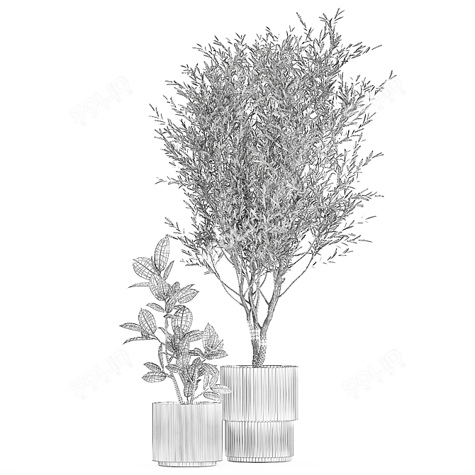 Modern Concrete Plant Collection: Olive and Ficus 3D model image 7