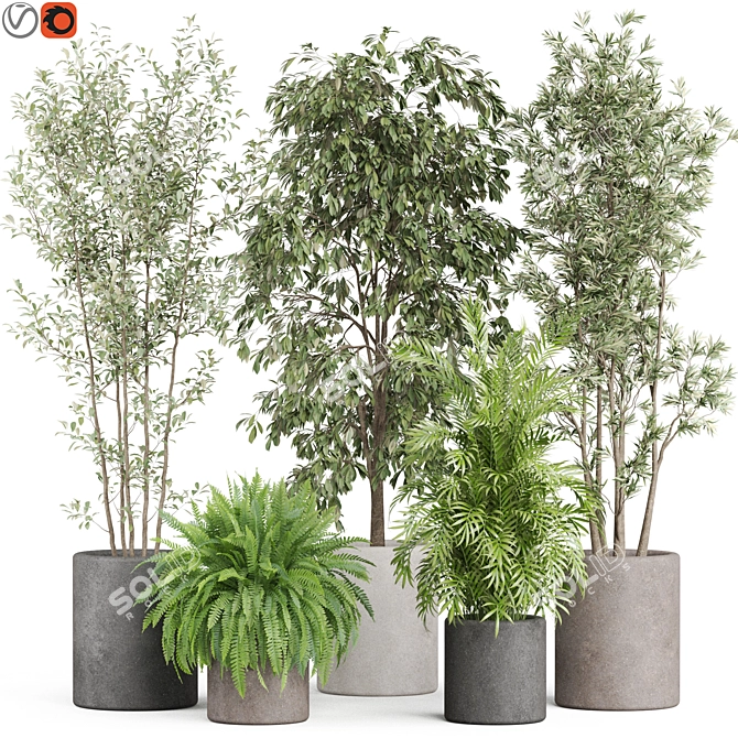  Botanical Bundle 922 3D model image 1