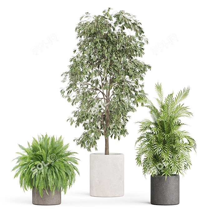  Botanical Bundle 922 3D model image 2