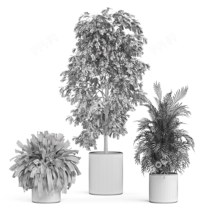  Botanical Bundle 922 3D model image 4