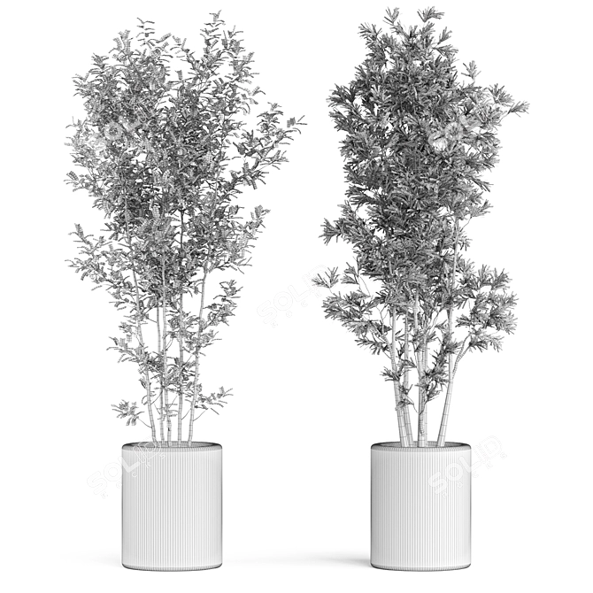  Botanical Bundle 922 3D model image 5