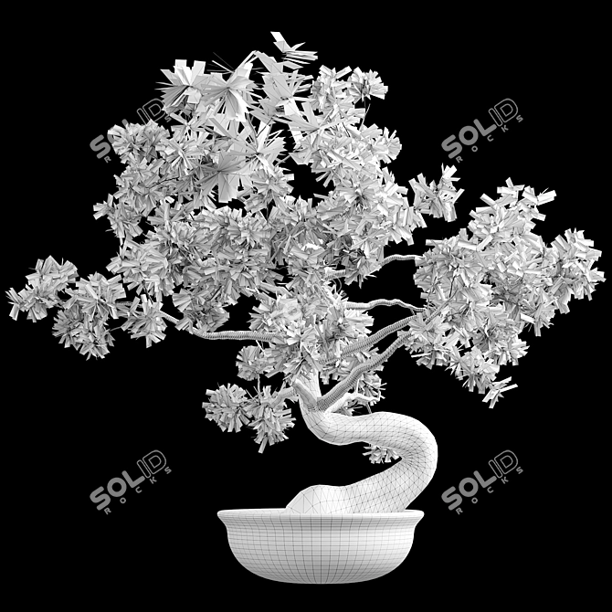 Artisan Bonsai Tree Set 3D model image 4