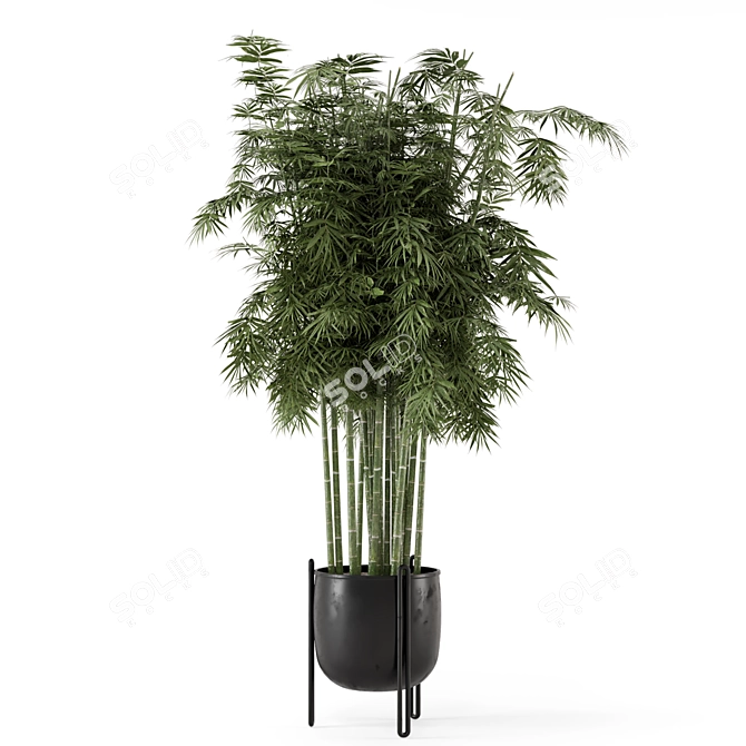 Bamboo Plants in Concrete Pots 3D model image 5