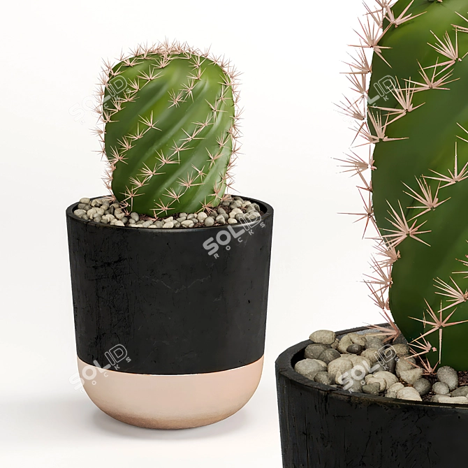 Succulent Trio Indoor Plant Set 3D model image 2