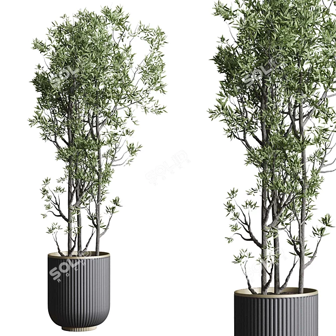 Modern Indoor Plant Set 3DMAX 3D model image 3