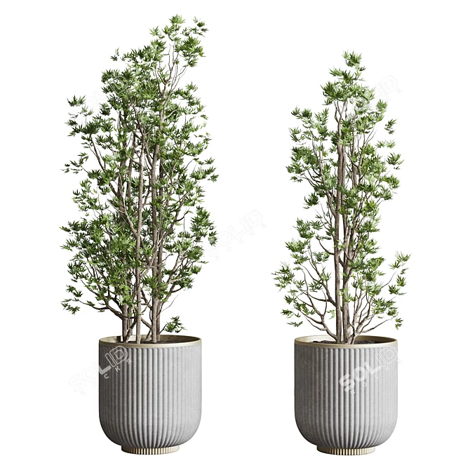 Modern Indoor Plant Set 3DMAX 3D model image 4