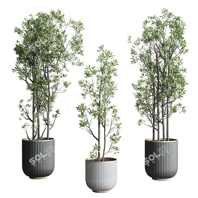 Modern Indoor Plant Set 3DMAX 3D model image 6