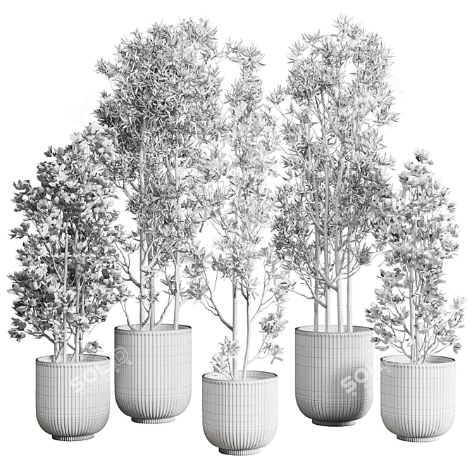 Modern Indoor Plant Set 3DMAX 3D model image 7