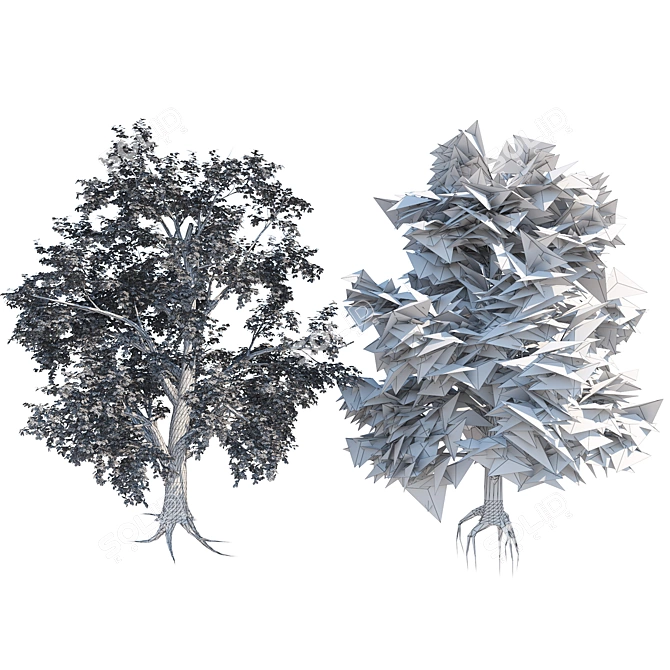 Optimized Broadleaf Tree Models 3D model image 5