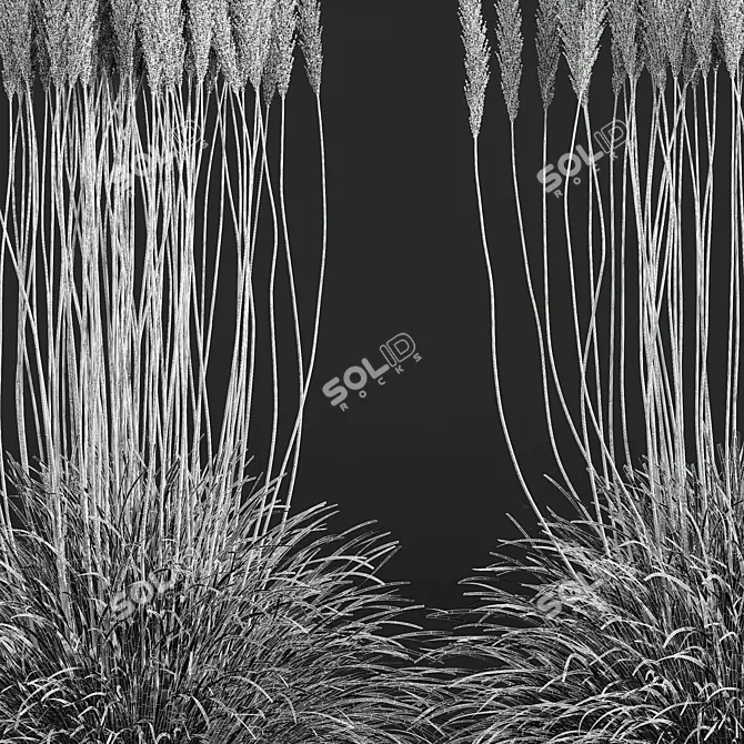 Golden Feather Calamagrostis Plant Model 3D model image 5