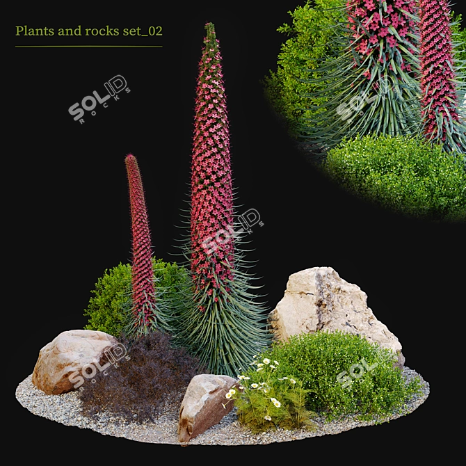 Plants & Rocks Collection Vray Model 3D model image 1