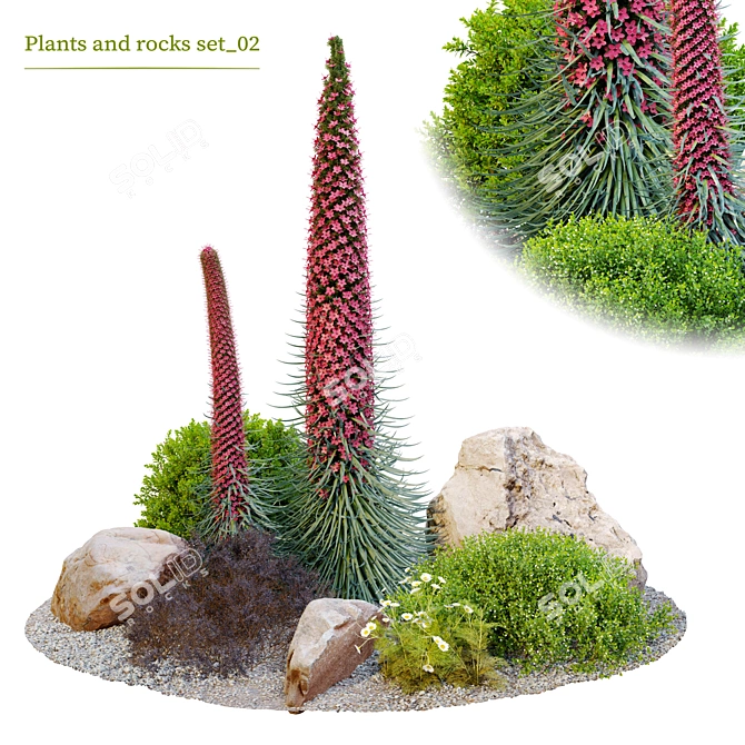 Plants & Rocks Collection Vray Model 3D model image 2