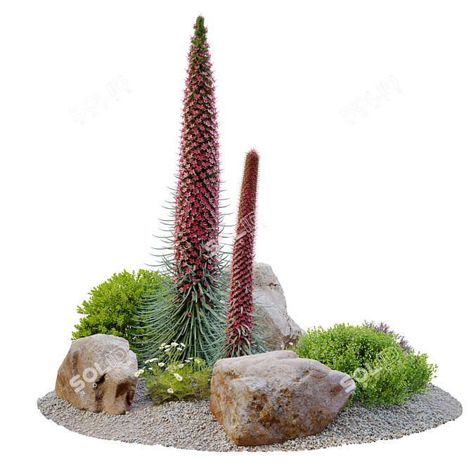 Plants & Rocks Collection Vray Model 3D model image 3