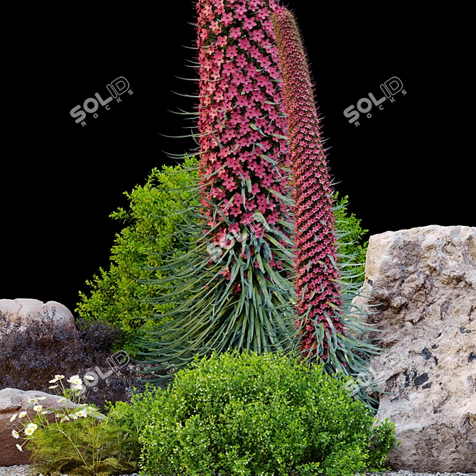 Plants & Rocks Collection Vray Model 3D model image 4