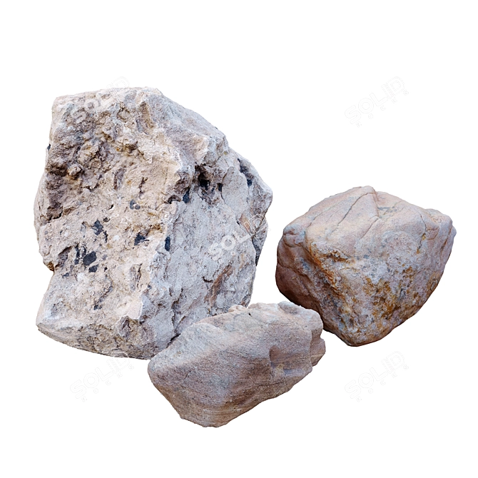 Plants & Rocks Collection Vray Model 3D model image 6