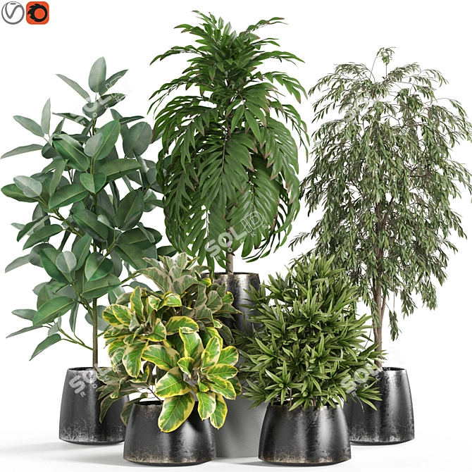 Botanical Marvels 3D Model Set 3D model image 1