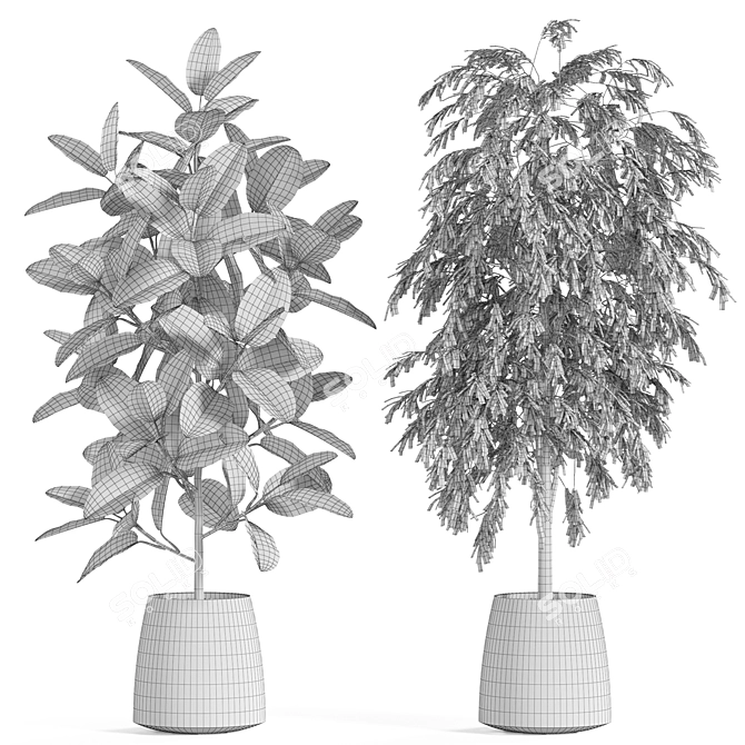 Botanical Marvels 3D Model Set 3D model image 5