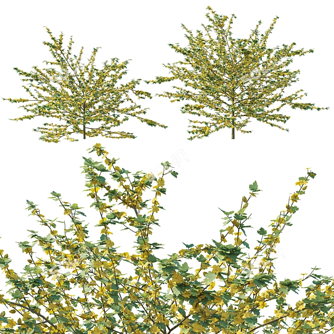 California 3D Model 2017, FBX 3D model image 1