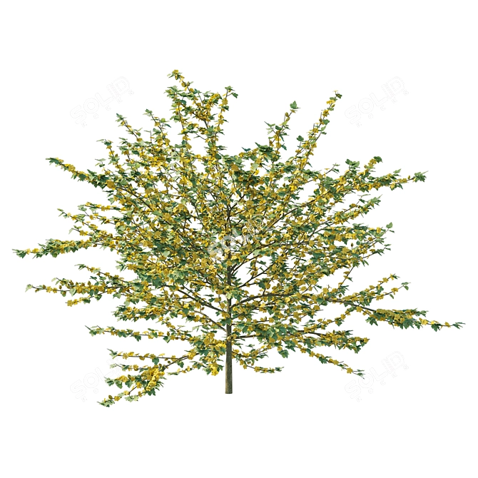 California 3D Model 2017, FBX 3D model image 2